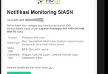 BKPSDM Depok Jelaskan Penyebab Munculnya Status BTS di Sistem Mola BKN