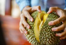 Zulhas Tegaskan Status Durian: Indonesia Lebih Berhak Klaim Buah Nasional Dibanding Malaysia