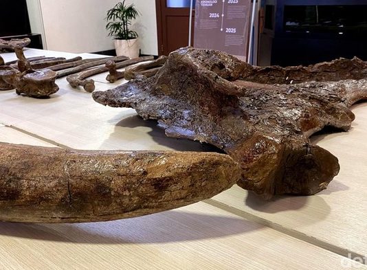 Menyingkap Situs Purba Nganjuk: Peneliti Targetkan Gali Seluruh Ekosistem Zaman Stegodon di Lereng Gunung Pandan