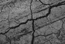 Peringatan Dini KBRI Tokyo: WNI Diminta Siaga Penuh Pasca Gempa M 7,5 Aomori