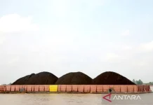 Reformasi Tata Kelola Ekspor: Bea Keluar Batu Bara 2026 Dipandang sebagai Disiplin Fiskal dan Solusi Trade Misinvoicing
