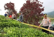 Deforestasi di Pangalengan Setara 210 Lapangan FIFA Memicu Peringatan ITB: Ancaman Run Off Ekstrem dan Banjir Besar