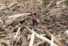 Izin Delapan Perusahaan Diduga Biang Kerok Banjir Sumatera Dicabut dan Diselidiki Pidana