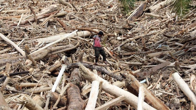 kayu-gelondongan-bercerita-kerusakan-hutan-di-tapanuli-selatan-1764478548735_169