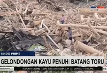 Analisis The New York Times: Deforestasi Memperparah Tragedi Sumatera, Kayu Gelondongan Jadi ‘Pelantak Terapung’
