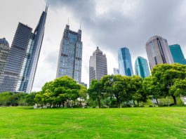 Urgensi Green Office PKS Award dan Teladan dari kantor DPC PKS Cimanggis Kota Depok