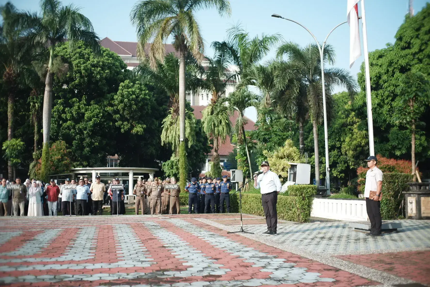 Js7UIPeJch2AutllGbX1h6HGHL4bBZJQsk330iap