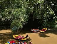 Ketahanan Air Baku Depok: Tirta Asasta Perkuat Proteksi Ciliwung Lewat Aksi Konservasi Terpadu