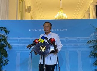 Ketahanan Pangan Kuat: Cadangan Beras Capai 5,3 Juta Ton, RI Bersiap Jajaki Ekspor dan Bantuan Internasional