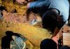 Aktivis Desak Evaluasi Struktural PT Tirta Asasta Depok Usai Proyek Galian Bahayakan Jalur Sekolah dan Jatuhkan Korban