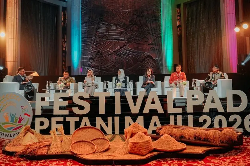 festivalpadi.jpeg